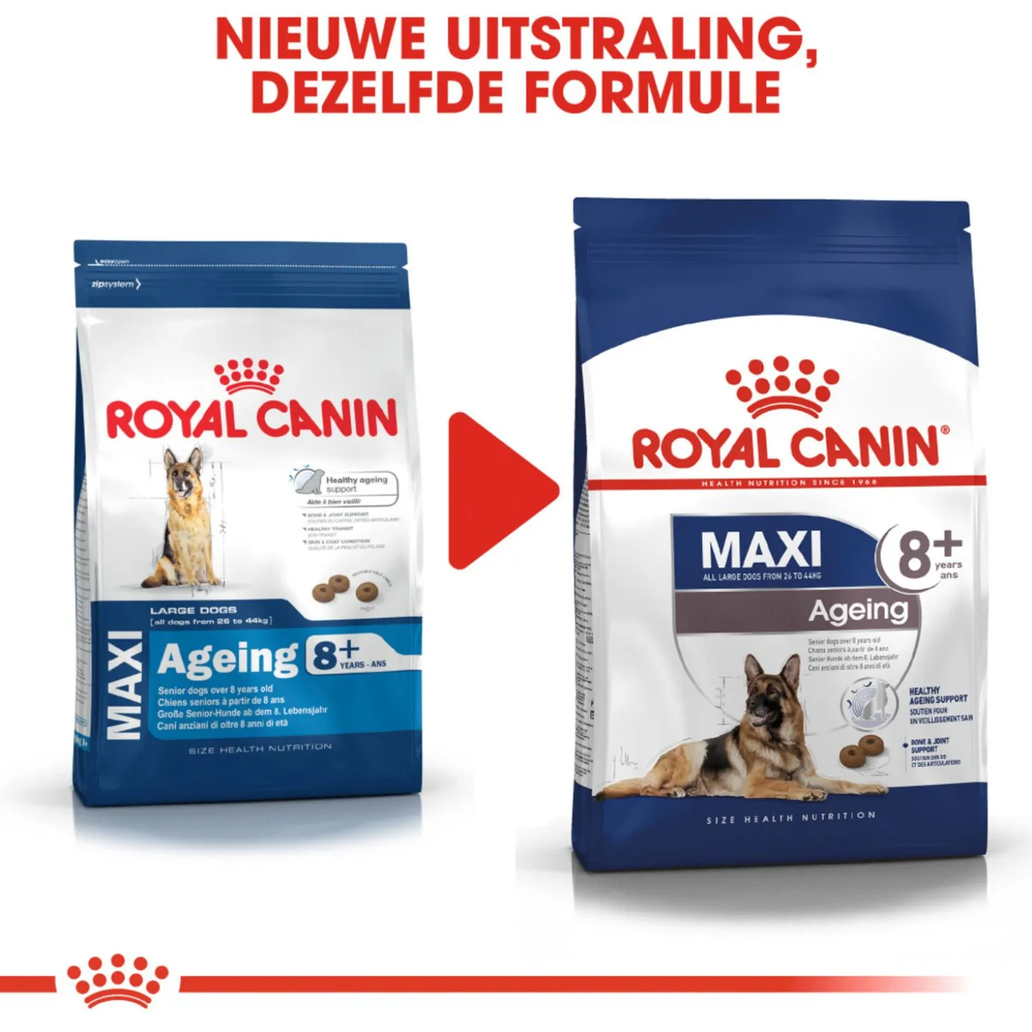 Royal Canin Maxi Ageing 8+ - Hondenvoer
