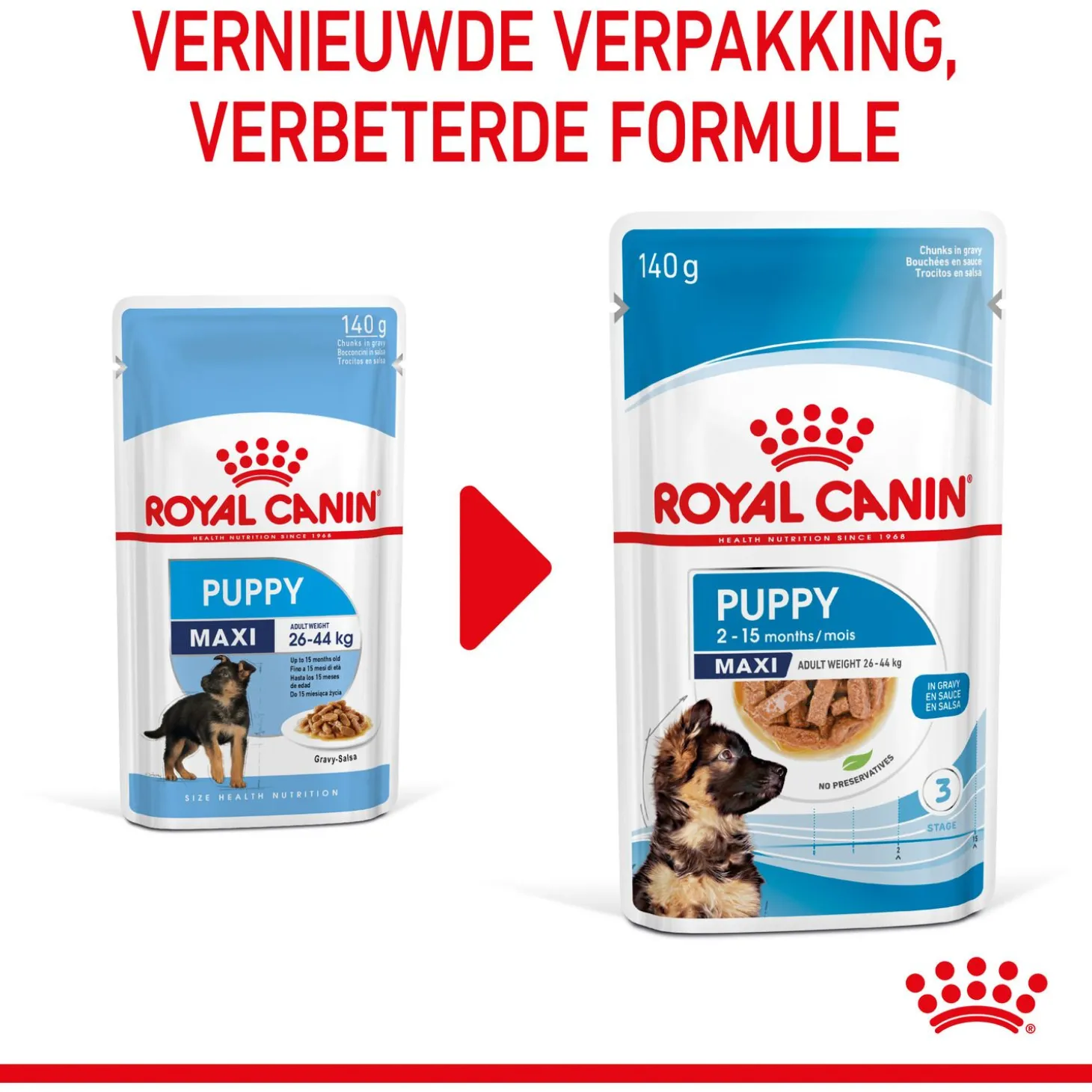 Royal Canin Maxi Natvoer - Puppy-Hondenvoer - 10x140 g