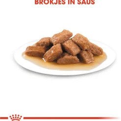 Royal Canin Medium Ageing 10+ Natvoer - Hondenvoer - 10x140 g
