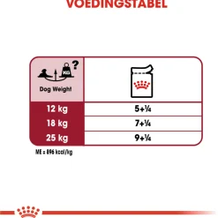 Royal Canin Medium Ageing 10+ Natvoer - Hondenvoer - 10x140 g