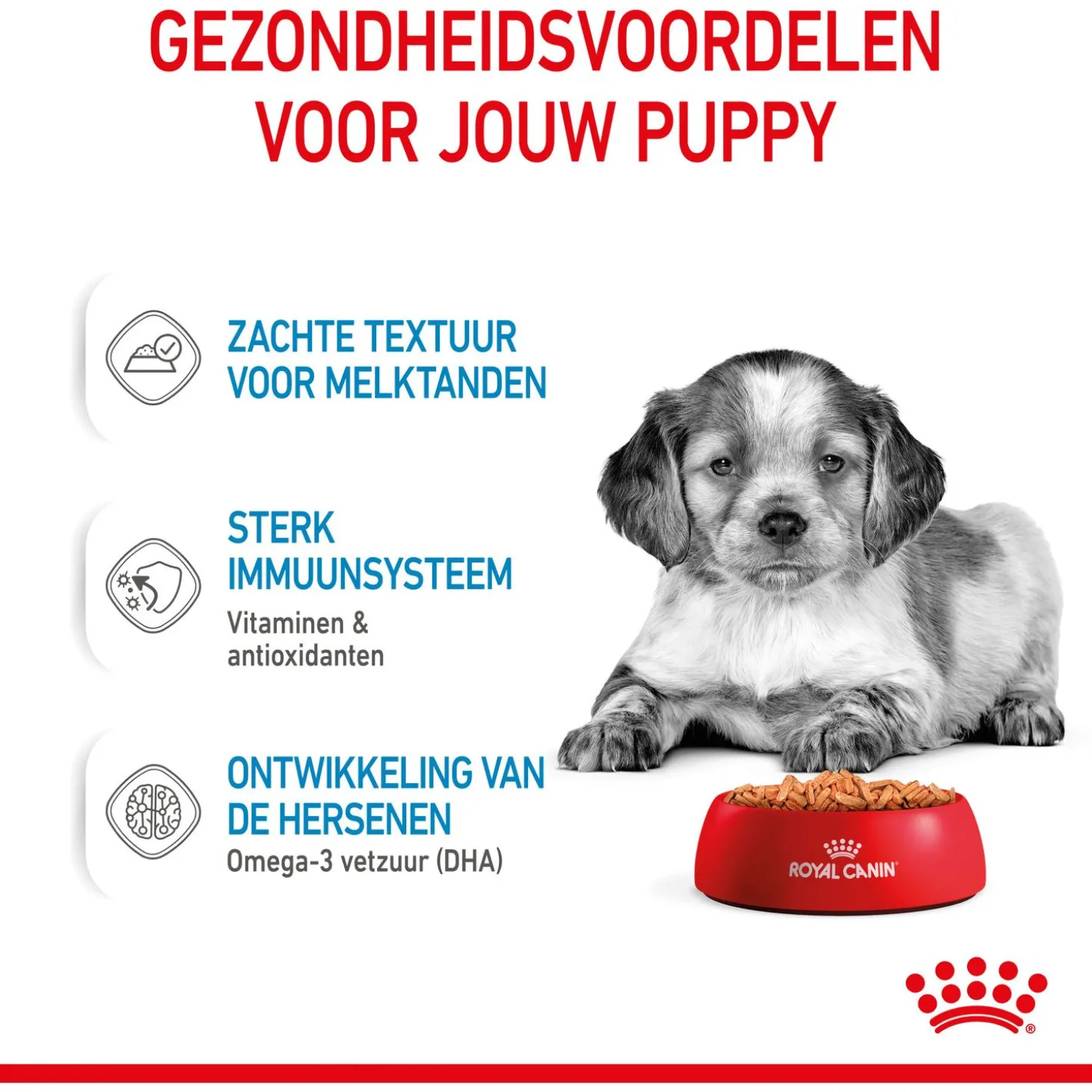 Royal Canin Medium Natvoer - Puppy-Hondenvoer - 10x140 g