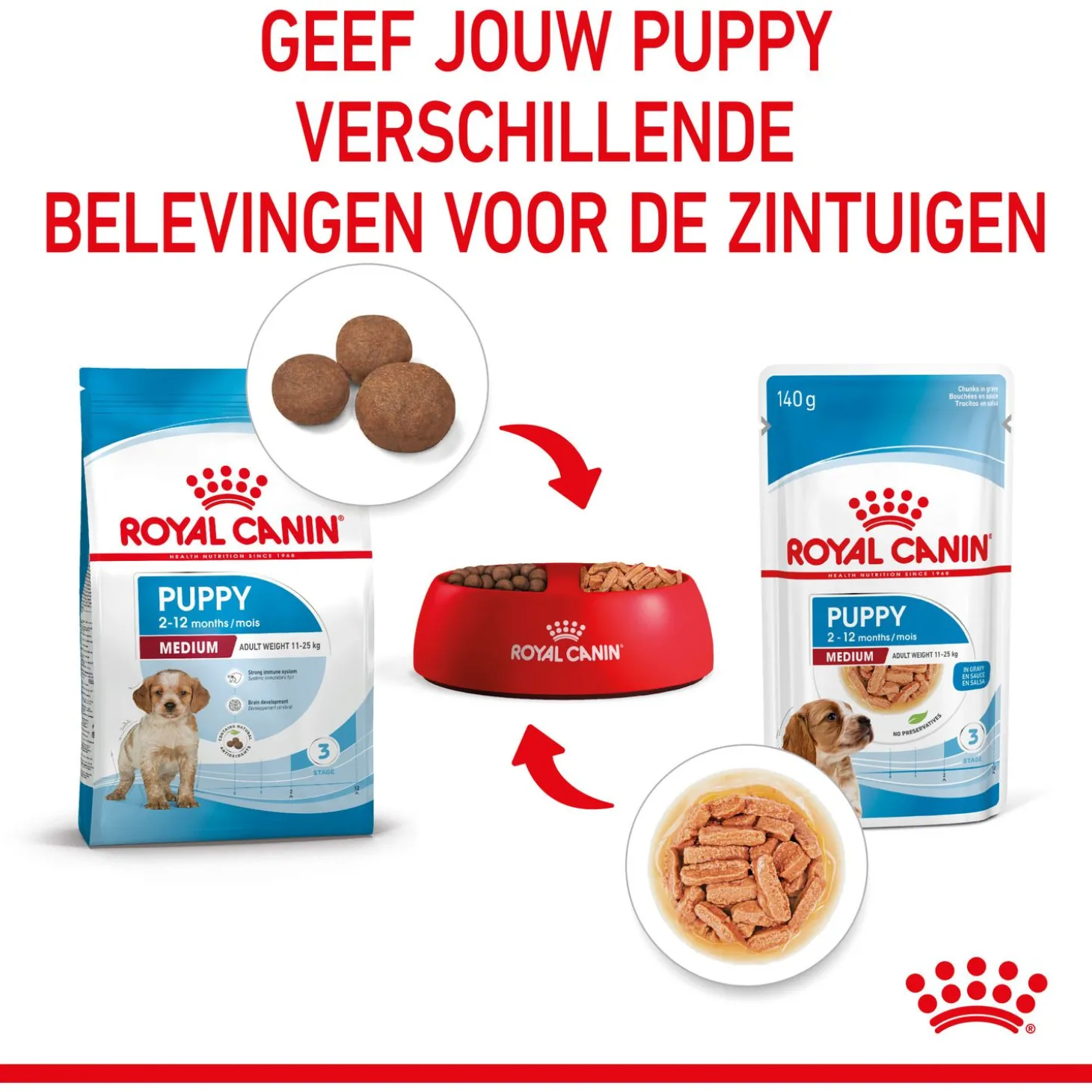 Royal Canin Medium Natvoer - Puppy-Hondenvoer - 10x140 g