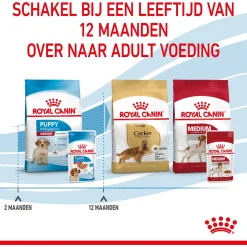 Royal Canin Medium Natvoer - Puppy-Hondenvoer - 10x140 g