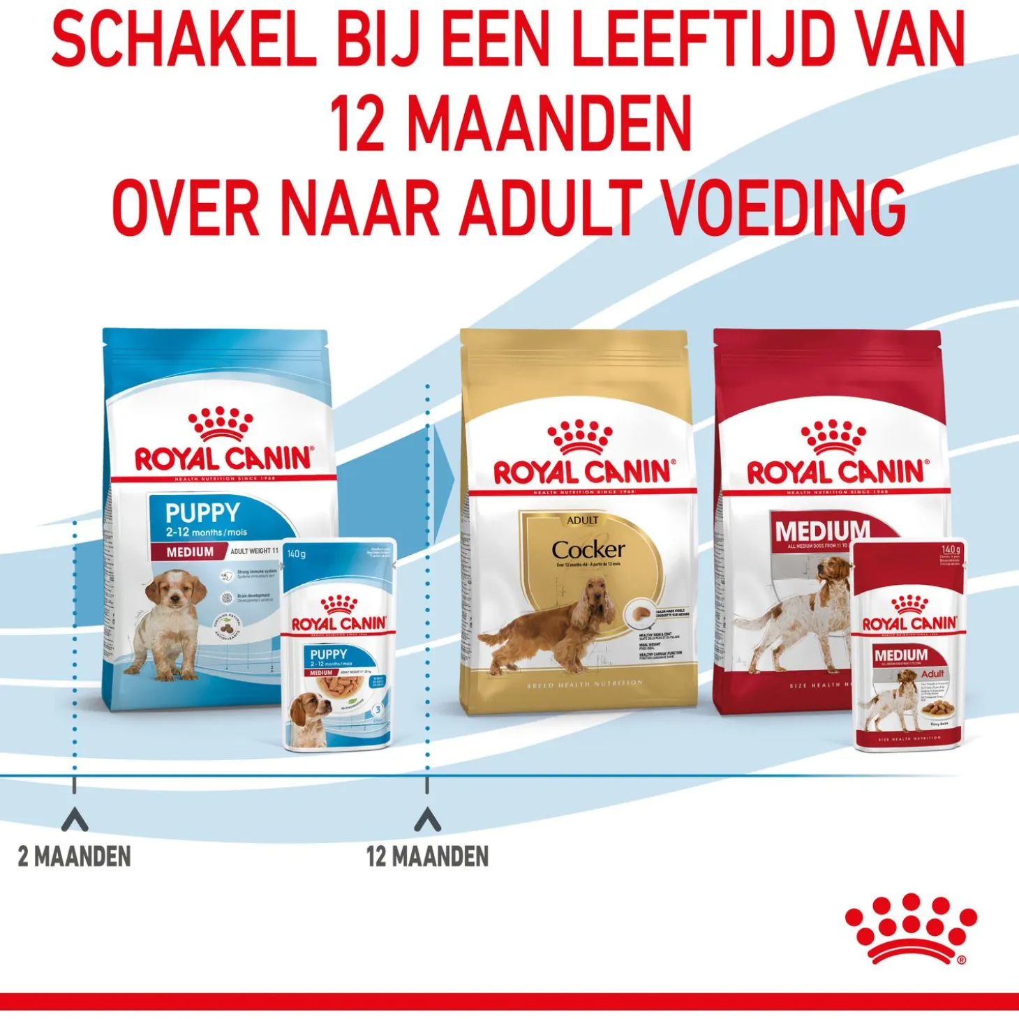 Royal Canin Medium Natvoer - Puppy-Hondenvoer - 10x140 g