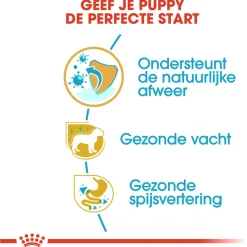 Royal Canin Poodle - Puppy-Hondenvoer - 3 kg