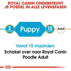 Royal Canin Poodle - Puppy-Hondenvoer - 3 kg