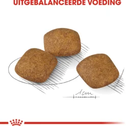 Royal Canin Relax Care Medium - Hondenvoer