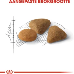 Royal Canin Savour Exigent - Kattenvoer