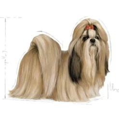 Royal Canin Shih Tzu Adult - Hondenvoer