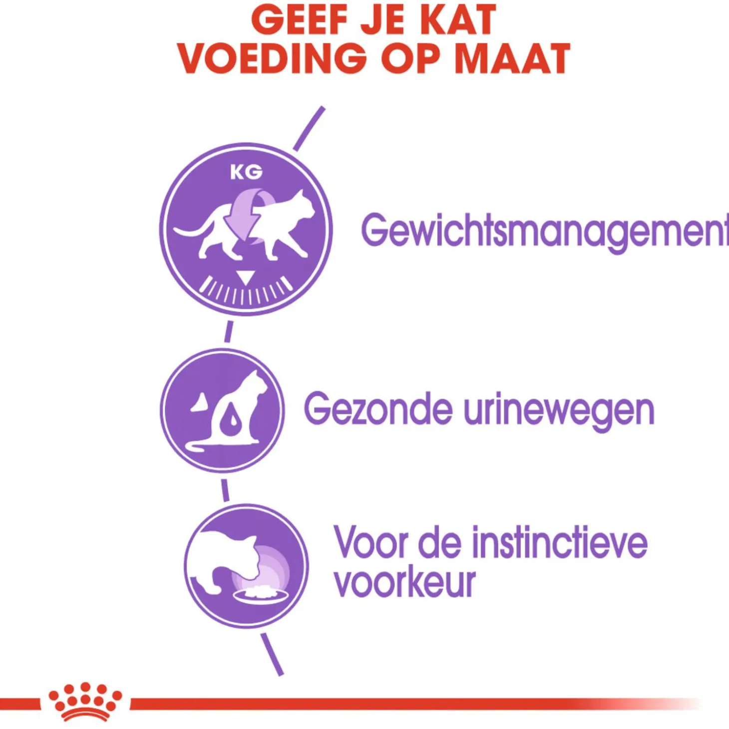 Royal Canin Sterilised In Jelly - Kattenvoer - 12x85 g