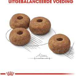 Royal Canin Sterilised Medium - Hondenvoer - 12 kg