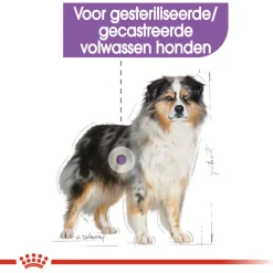 Royal Canin Sterilised Medium - Hondenvoer - 12 kg
