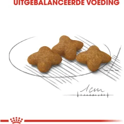 Royal Canin Sterilised X-Small - Hondenvoer - 1.5 kg