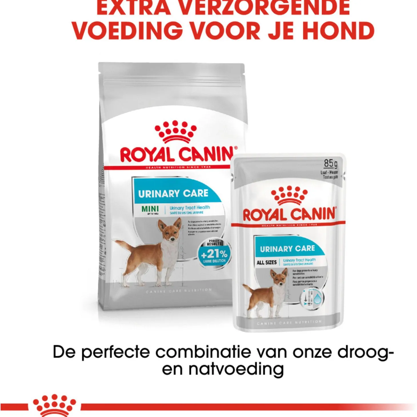 Royal Canin Urinary Care Natvoer - Hondenvoer - 12x85 g