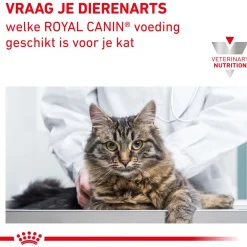 Royal Canin Veterinary Diet Renal Beef Wet - Kattenvoer - 12x85 g