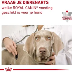 Royal Canin Veterinary Diet Urinary S/O - Hondenvoer
