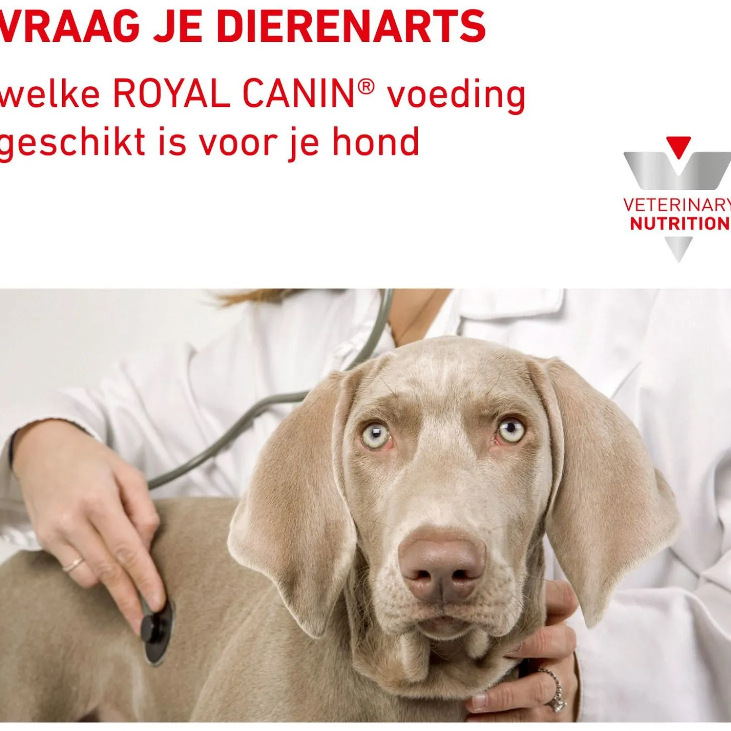 Royal Canin Veterinary Diet Hypoallergenic Wet - Hondenvoer