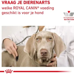 Royal Canin Veterinary Diet Gastro Intestinal - Hondenvoer
