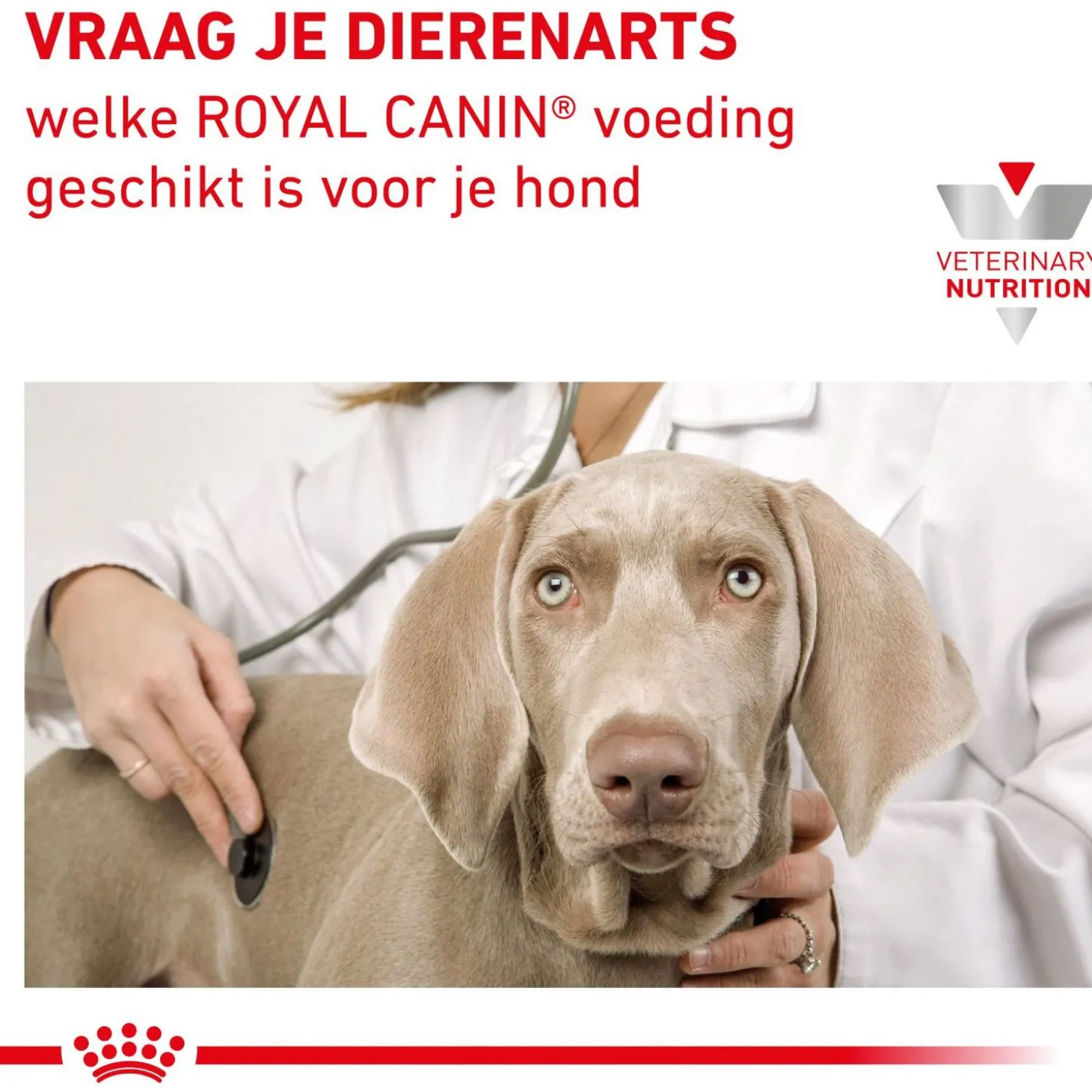 Royal Canin Veterinary Diet Gastro Intestinal Moderate Calorie - Hondenvoer