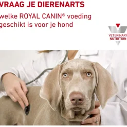 Royal Canin Veterinary Diet Urinary S/O Wet - Hondendieetvoer - 410 g