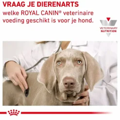 Royal Canin Veterinary Diet Dog Skin Care Adult - Hondenvoer
