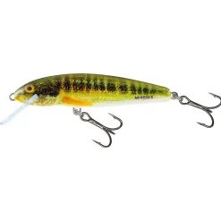 Salmo Minnow Floating 6cm Holo Real Minnow - Plug -