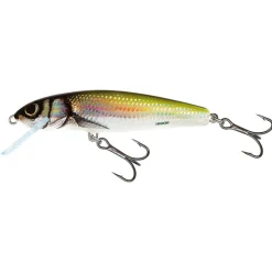 Salmo Minnow Floating 6cm Holo Bleak - Plug -