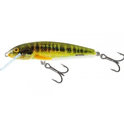 Salmo Minnow Snk 5cm Holo Real Minnow - Plug -