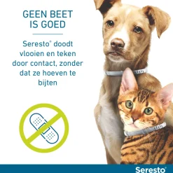 Seresto Teken- En Vlooienband Kat 38 cm - Anti tekenmiddel