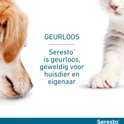 Seresto Teken- En Vlooienband Kat 38 cm - Anti tekenmiddel