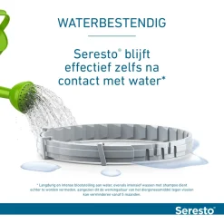 Seresto Teken- En Vlooienband Kat 38 cm - Anti tekenmiddel