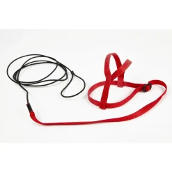 Sky Pet Products Vogelharnas Avian Adventure Harness - Vogelaccessoires - per stuk Xs