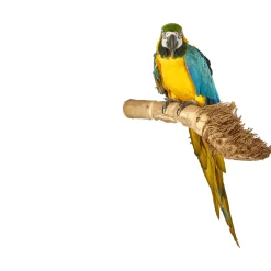 Sky Pet Products Zitstok Bamboo Perch - Vogelverblijven-Toebehoren - per stuk Large
