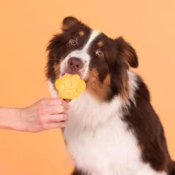 Smoofl Honden Ijs 160 g - Hondensnacks