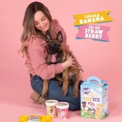 Smoofl Starter Kit Puppy Ijs - Hondensnacks - Aardbei Banaan