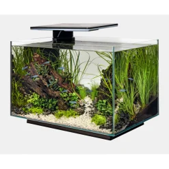 Superfish Quadro 70 Pro - Aquaria
