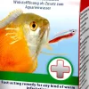 Tetra Medica Tremacestonemaex - Medicijnen - 20 ml