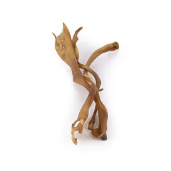 Timo Geitenhuid - Hondensnacks - Geit 50 cm 3 stuks