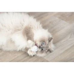 Trixie Catnip Speelgoed Ijs En Cupcake - Kattenspeelgoed - 7 cm