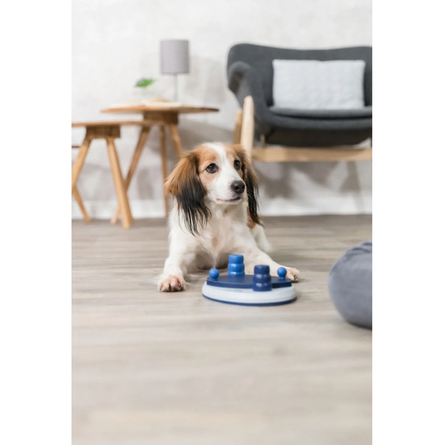 Trixie Dog Activity Push Away Denkspel - Hondenspeelgoed - 25x17 cm Dark Navy Wit Level 2