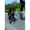 Trixie Fiets Set - Hondenfiets-accessoires -