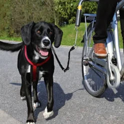 Trixie Fiets Set - Hondenfiets-accessoires -