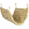 Trixie Grasmat Voor Degoes/Ratten - Kooi Accessoire - 40x28 cm