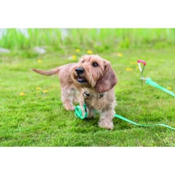 Trixie Grondpen - Hondenriemaccessoire - 40x0.9 cm