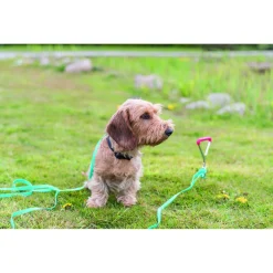 Trixie Grondpen - Hondenriemaccessoire - 40x0.9 cm
