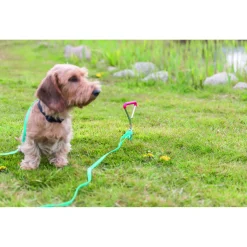 Trixie Grondpen - Hondenriemaccessoire - 40x0.9 cm