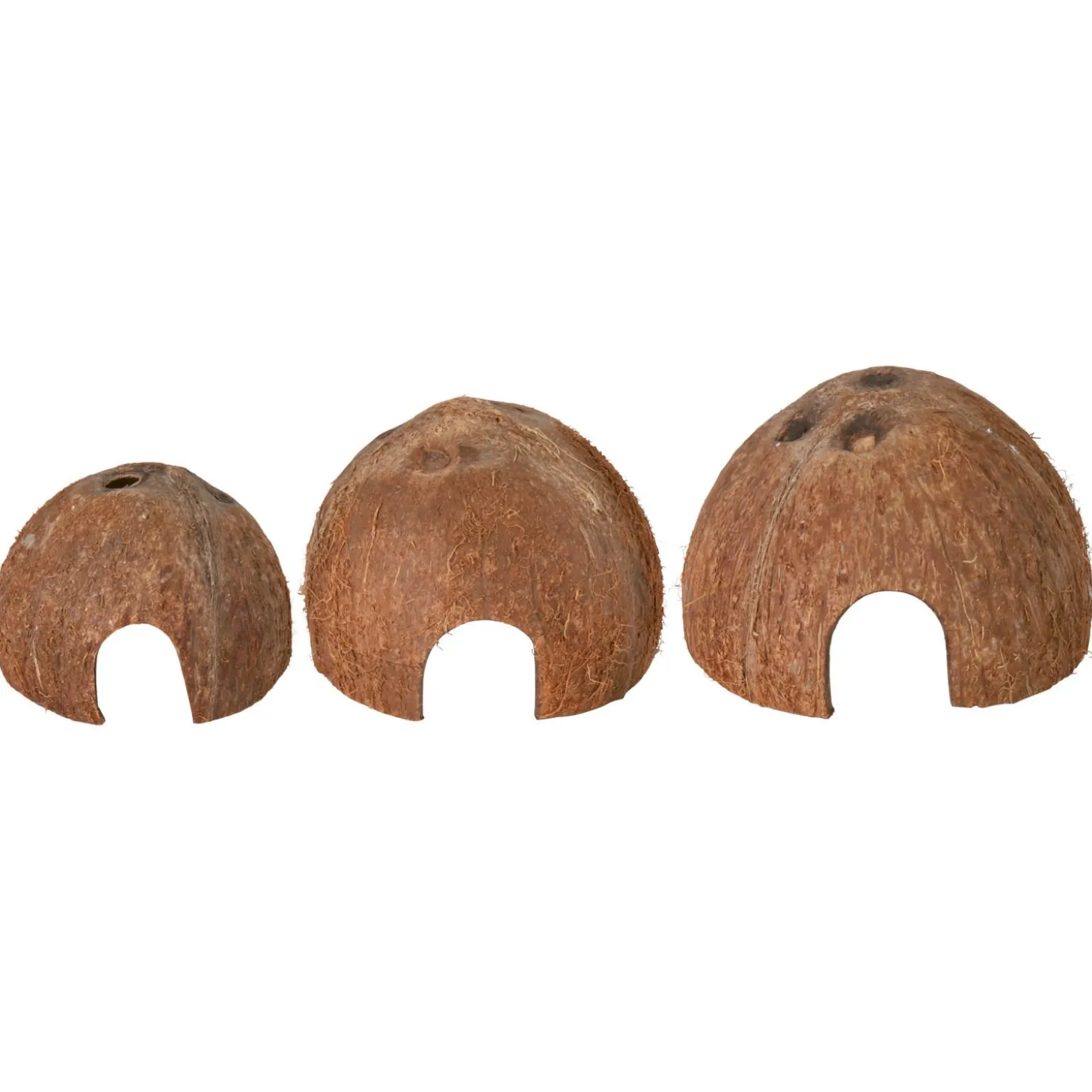 Trixie Halve Kokosnoot Set À 3 - Speelgoed - 3 stuks Ø8/10/12 Cm