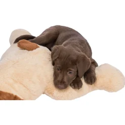 Trixie Pluche Knuffelhond Benny - Hondenspeelgoed - 75 cm Beige Bruin