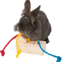 Trixie Snack-Kubus - Knaagdiersnack - 16x6x7 cm