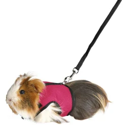 Trixie Soft-Tuig Met Riem Voor Cavia's - Caviaharnas - 18-25 Cm